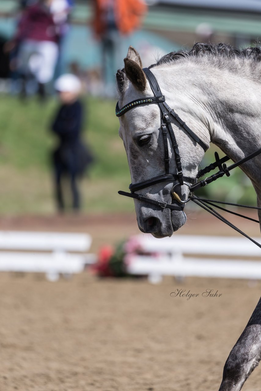 Bild 2 - Pony Akademie Turnier